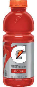GATORADE FRUIT PUNCH 20 OZ